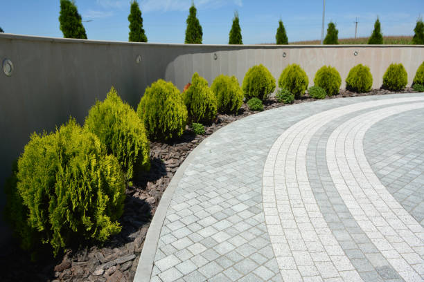 Best Driveway Paving Contractor  in Mcallen, TX